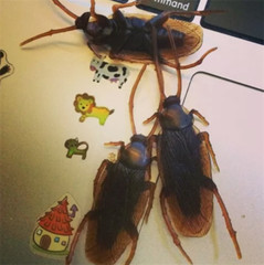 10Pcs Fake Roaches Realistic Plastic Roach Bugs Fake Cockroaches Insect USA