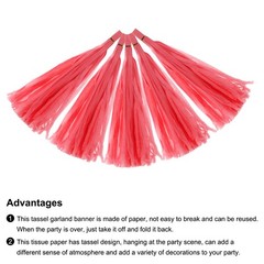 30Pcs Light Red Tassel Garland Banner with Rope