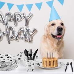 400-Piece Black Paw Print Tableware Set for 50 Guests – Perfect Party Supplies