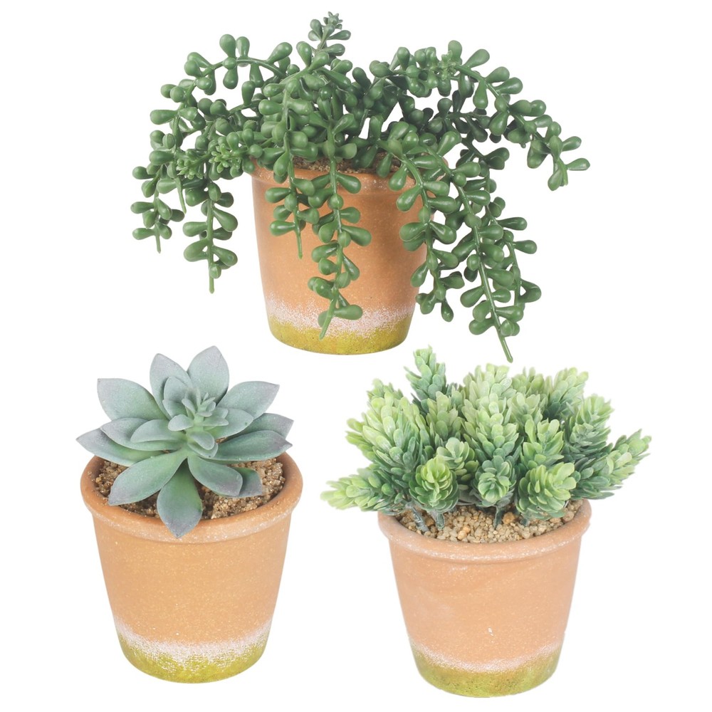 COTSEN 3 Pcs Artificial Succulent Plants Potted False Green