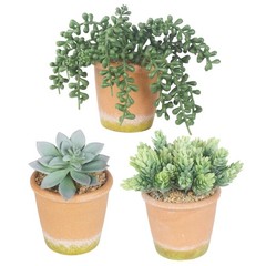 COTSEN 3 Pcs Artificial Succulent Plants Potted False Green