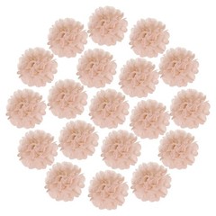 20Pcs Tissue Pom Poms, 14 Inch Colorful Large Flowers Wall Decorations for Fi…
