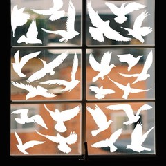 37Pcs Anti Collision Window Clings, Save The Birds from Window Strikes, Warn Bir
