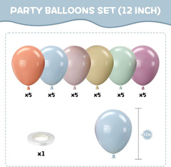 Pastel Retro Balloons, 12 Inch 6 Color Blue Purple Green Pink Beige Latex Party