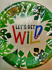 Brand New Jungle Party Decorations Supplies 114pc Kids PartySet