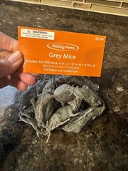 10 PCS Mice Creepy Halloween Party Decor Scary 4” Grey Rubber NEW