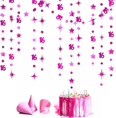 Hot Pink Number 16 Circle Dot Twinkle Star Garland Hanging Streamer Bunting Bann