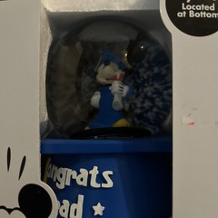 Mickey Graduation Water Globe