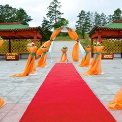 Red Carpet Runner for Party – Ceremony Entrance Decor with Red Party Carpet -…