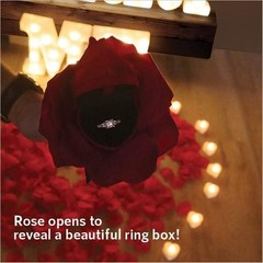 Engagement Proposal Decoration Kit – Light Up Letters, 2000 Rose Petals, Heart C