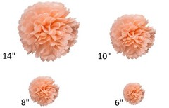 46 Pcs Tissue Paper Pom Poms Tassel Flowers Lanterns Honeycomb Party Decorations