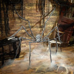 FURRY SPIDER – Morris Costumes