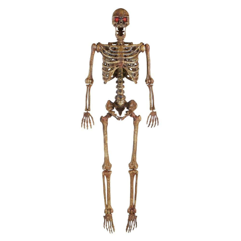 5 ft Poseable Human Size Decayed Skeleton Skull w/LED Eyes Halloween Decor Props