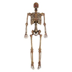 5 ft Poseable Human Size Decayed Skeleton Skull w/LED Eyes Halloween Decor Props