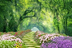 Forest Tree Tropical Rainforest Jungle Backdrop Party Photo Background Banner
