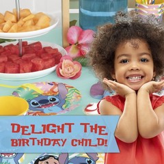 Lilo and Stitch Birthday Party Decorations for 16 | Banner, 9″, Multicolor