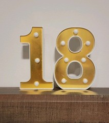1 & 8 Light-up Plastic Marquee Numbers, White with Gold, 6.25″