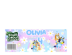 BLUE DOG PERSONALIZED KIDS PARTY DECOR BIRTHDAY CUSTOM NAME DECORATION BLUEY