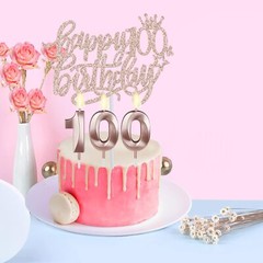 100th Birthday Decorations Women Including 100th Birthday Crown/Tiara Sash Ca…