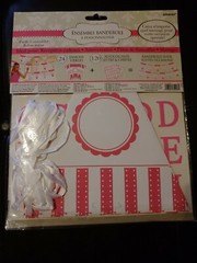 PERSONALIZED PENNANT BANNER KIT BRIDAL BABY SHOWER PARTY PINK STRIPES POLKA DOTS