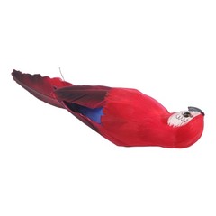 D??cor Simulation Parrot Imitation Garden Lifelike 25cm Artificial Fake