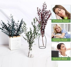 Dried Eucalyptus Leaves Preserved Greenery Stems, 8-14 PCS 2-blue