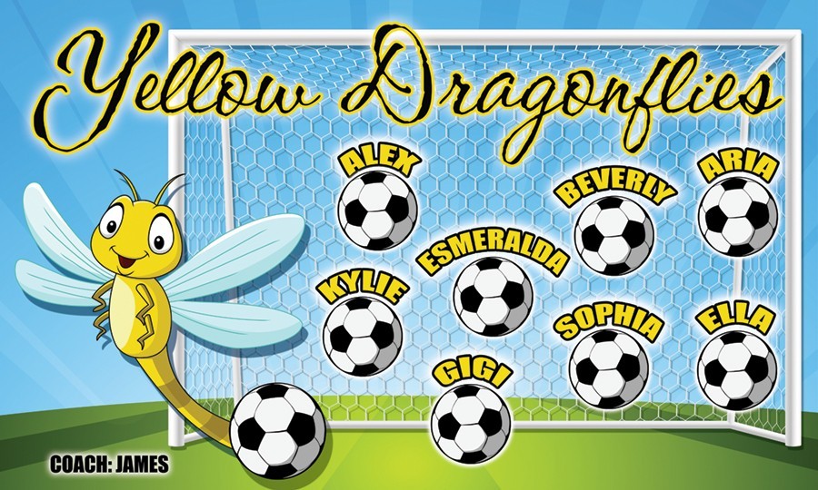 Dragonflies – Soccer Team Banner – (3ft x5ft) Your Team Name and Custom Design