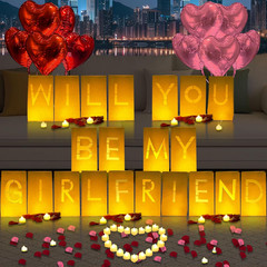 Will You Be My Girlfriend Lighted Letters Sign 21pcs Luminary Paper Bags 2200pcs