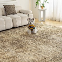 2×6 Runner Rug Brown Vintage Neutral 2′ x 6′ (Rectangular),