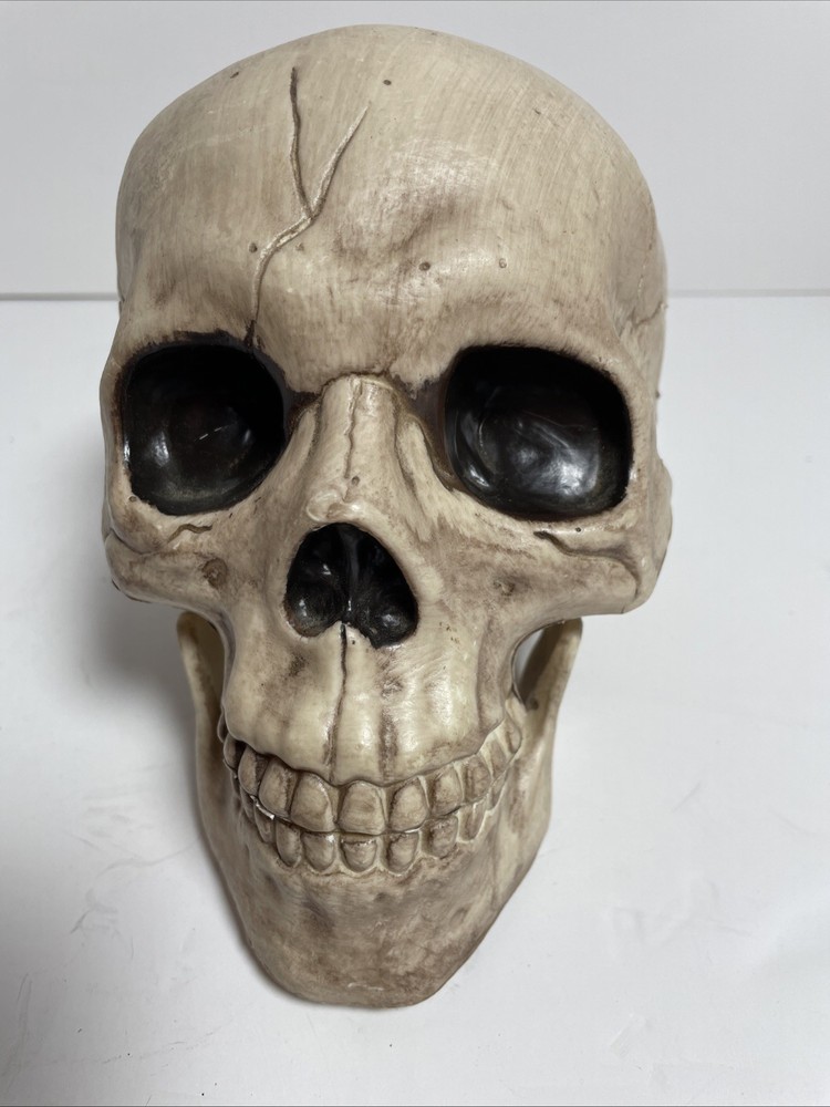 Skeleton Skull Bones Life Haunted House Escape Horror Props Plastic 6” Halloween