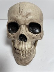 Skeleton Skull Bones Life Haunted House Escape Horror Props Plastic 6” Halloween