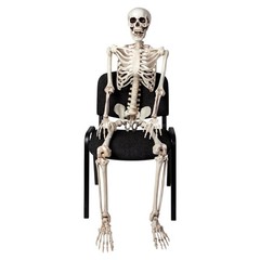Wicked Costumes – Pose-able Skeleton (150cm) – Party Decoration