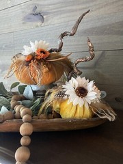 Fall Thanksgiving Velvet Pumpkin Home Decor