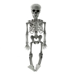 New Poseable Full Party Prop Decoration Human Skeleton Halloween 40cm