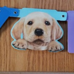 Happy Birthday Pets Dogs Banner, Decoration Puppy