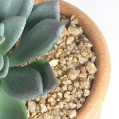 COTSEN 3 Pcs Artificial Succulent Plants Potted False Green