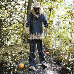 7 Ft. 6″ Light-Up Lifting Skeleton Scarecrow Halloween Decoration – ATC