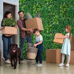 Artificial Boxwood Panels, Grass Wall Panels 12PCS 20»x20», Dracaena