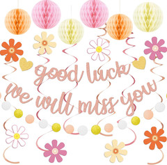 Going Away Party Decorations for Women, Farewell Decorations Party with Rose Gol