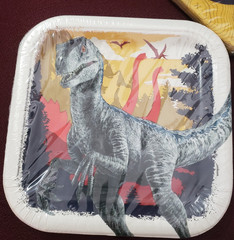 Jurassic World Dinosaurs Universal Studios Paper Plates Napkins Party