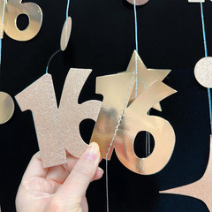 Champagne Gold Number 16 Circle Dot Twinkle Star Garland Streamer Bunting Banner