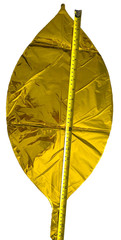 Gold Metallic 22 Inch 4D Big Round Foil Balloons W/Ribbon & Straw Pack of 6