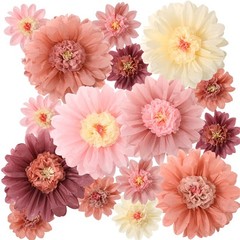 12 Pcs Large Pastel Tissue Paper Flowers 20″ 8»Giant Fiesta Pom Paper Flower…
