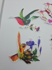 10 Pieces Large Size Hummingbird Window Decals Lot