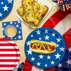 Disposable Paper Plates and Napkins American Flag Design for Veteran Day Events