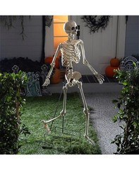 5 Ft. Skeleton Stand Halloween Decoration Display – Morris Costumes