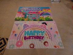Gabby’s Dollhouse Backdrop Banner