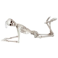 Wicked Costumes – Pose-able Skeleton (150cm) – Party Decoration