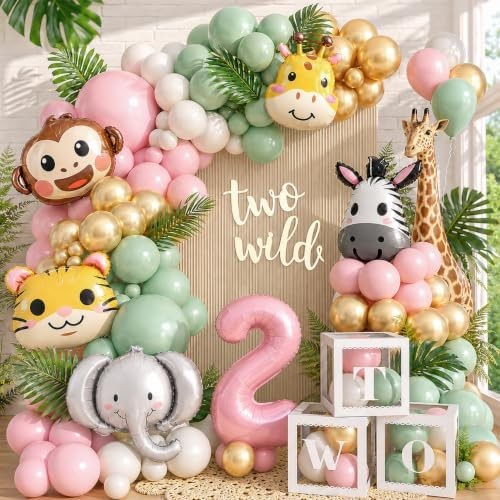 Two Wild Birthday Decorations Jungle Theme 2nd Birthday Decorations for Girl Hug