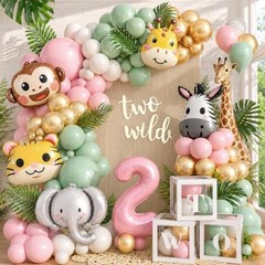 Two Wild Birthday Decorations Jungle Theme 2nd Birthday Decorations for Girl Hug